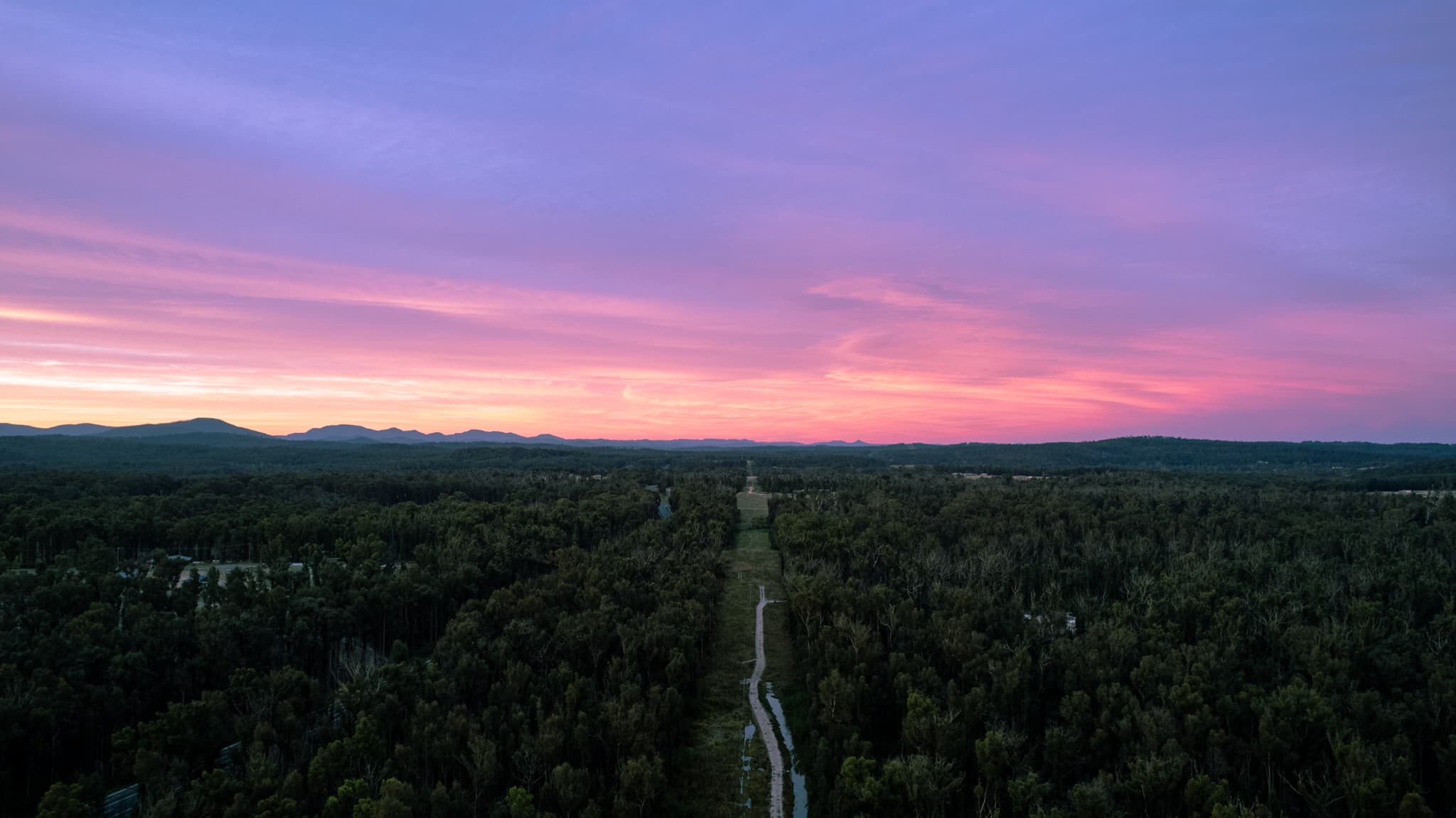 Pastel Dawn, Eurobodalla
